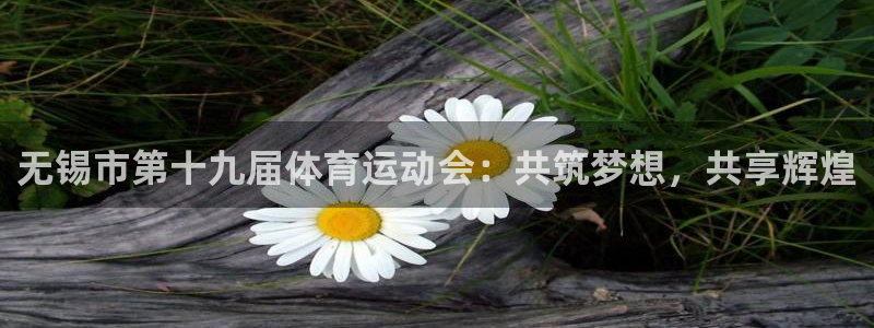 绿茵足球：无锡市第十九届体育运动会：共筑梦想，共享辉煌