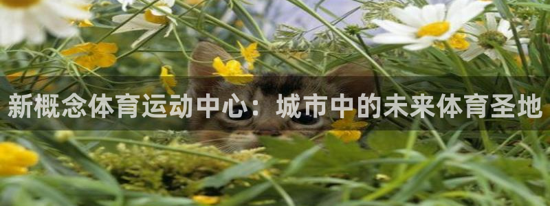 绿茵直播体育：新概念体育运动中心：城市中的未来体育圣地