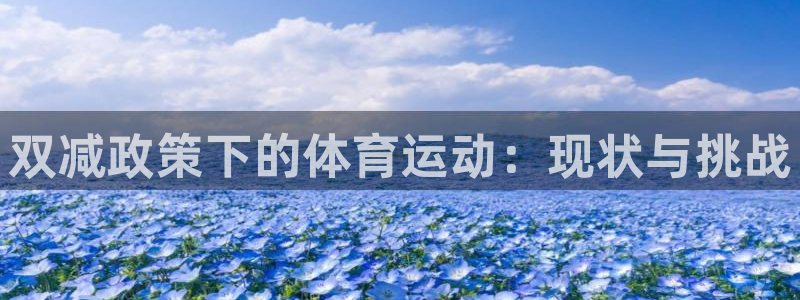 绿茵足球直播免费观看：双减政策下的体育运动：现状与挑战
