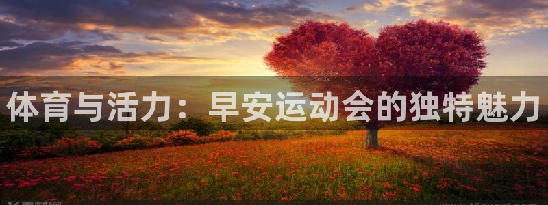 绿茵足球直播：体育与活力：早安运动会的独特魅力