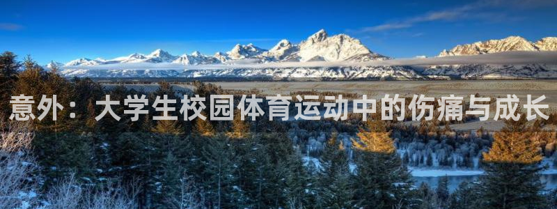 绿茵足球直播在线观看：意外：大学生校园体育运动中的伤痛与成长
