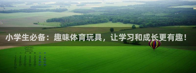 绿茵体育：小学生必备：趣味体育玩具，让学习和成长更有趣！