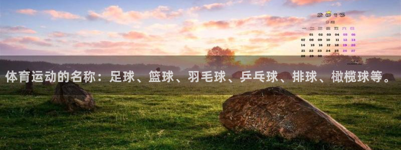 绿茵nba直播在线观看：体育运动的名称：足球、篮球、羽毛球、乒乓球、排球、橄榄球等。