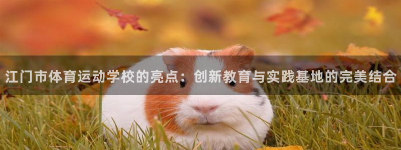 绿茵杯足球赛：江门市体育运动学校的亮点：创新教育与实践基地的完美结合