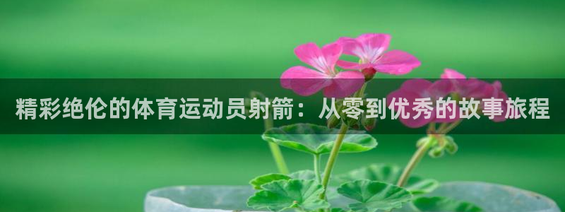 绿茵体育公司：精彩绝伦的体育运动员射箭：从零到优秀的故事旅程