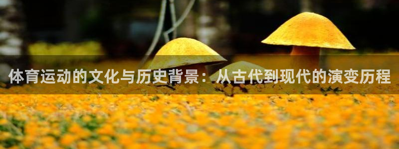 绿茵足球直播在线观看：体育运动的文化与历史背景：从古代到现代的演变历程